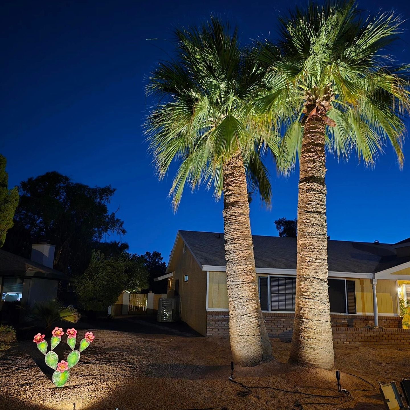 Two palm trees and cactus lit up at night in front of a house.