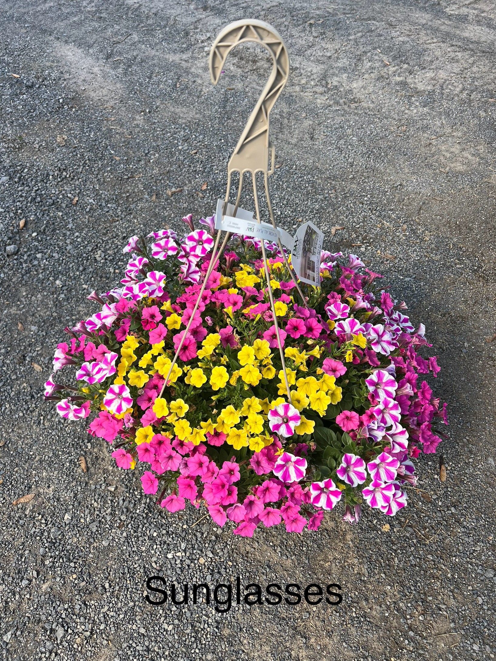 Hanging basket of pink, yellow, and striped flowers; beige hook over gravel.