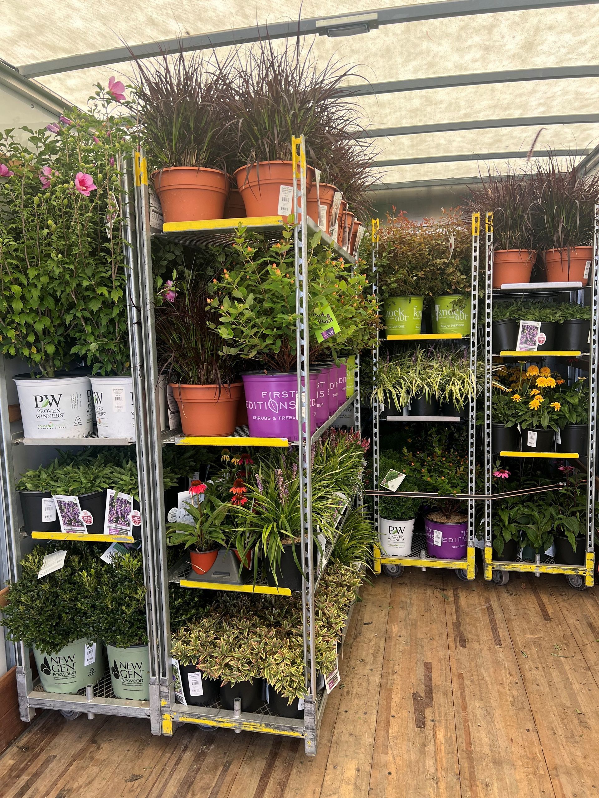 Shelves of potted plants inside a retail space, including flowers and greenery in various colors.