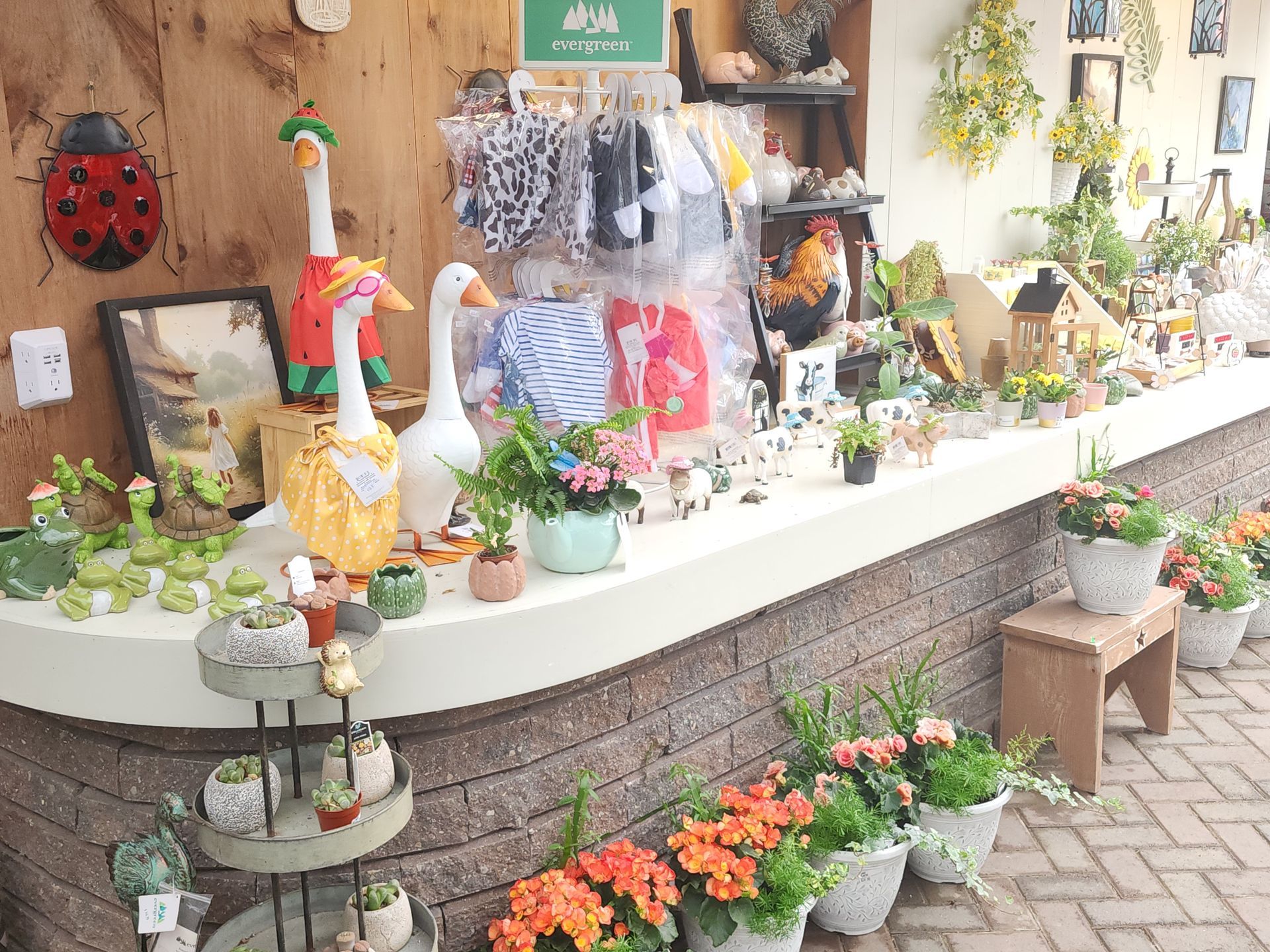 Colorful flower and gift display on a shop counter with potted plants and hanging decor outdoors