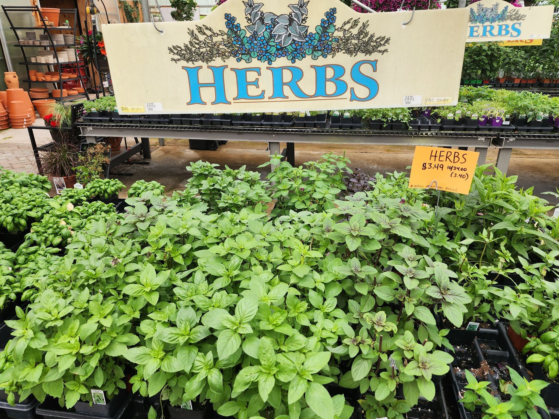 Herbs display at a garden center with lush green potted plants and a decorative sign