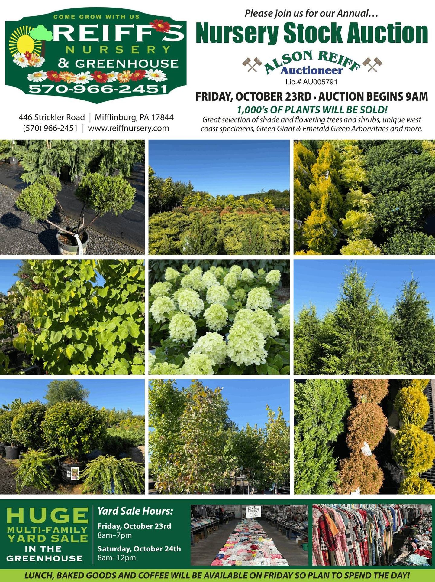 Nursery stock auction flyer with tree and shrub photos for Reiff’s Nursery & Greenhouse