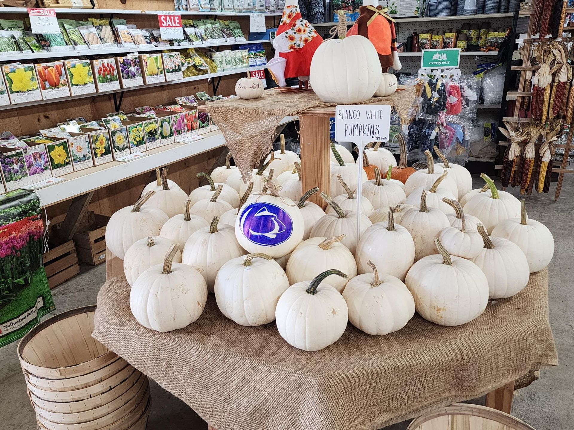 Display of white pumpkins on burlap-covered table in a store, with autumn decor and flowers behind