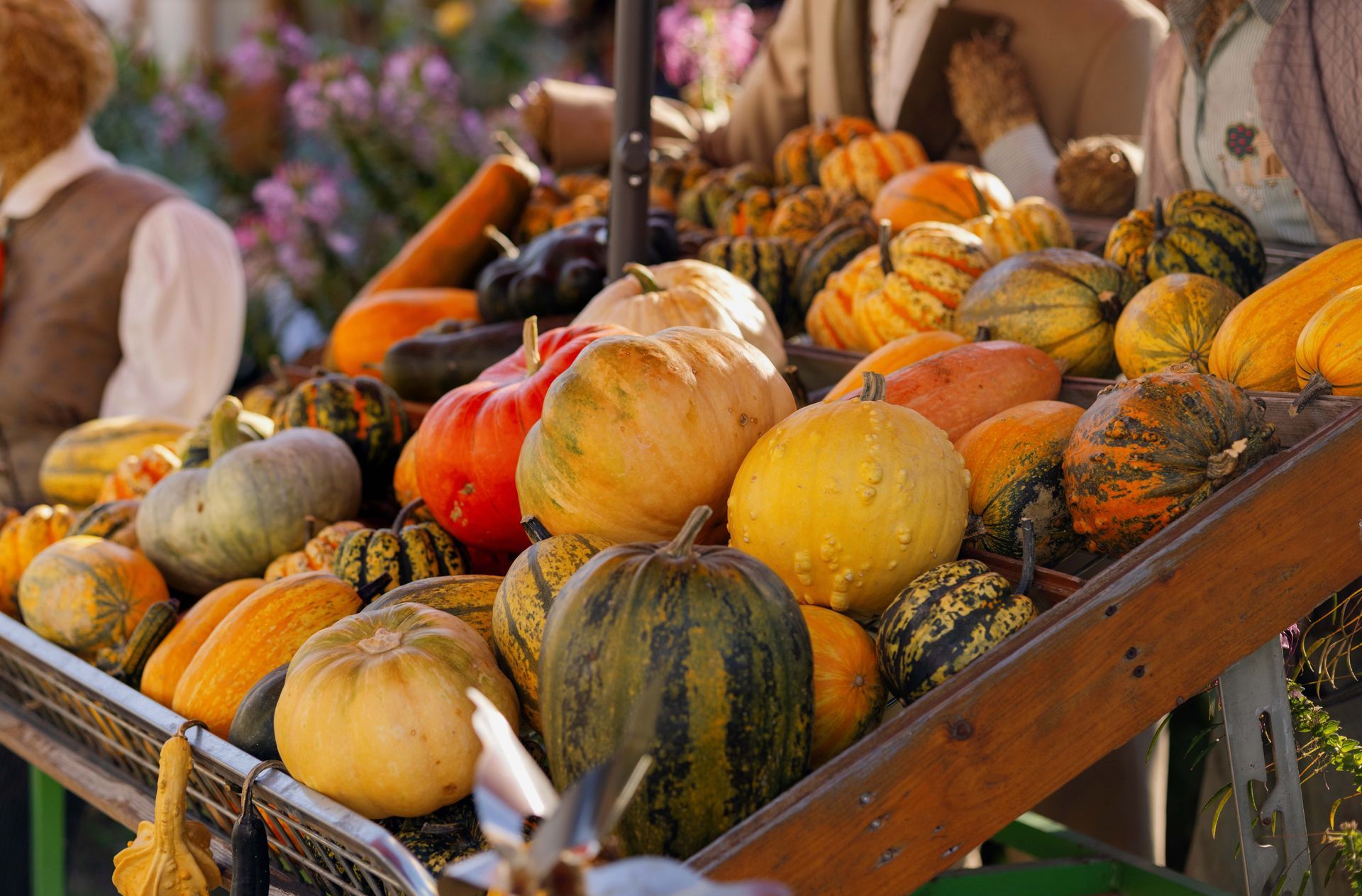 Assorted pumpkins and gourds piled in a wooden market display