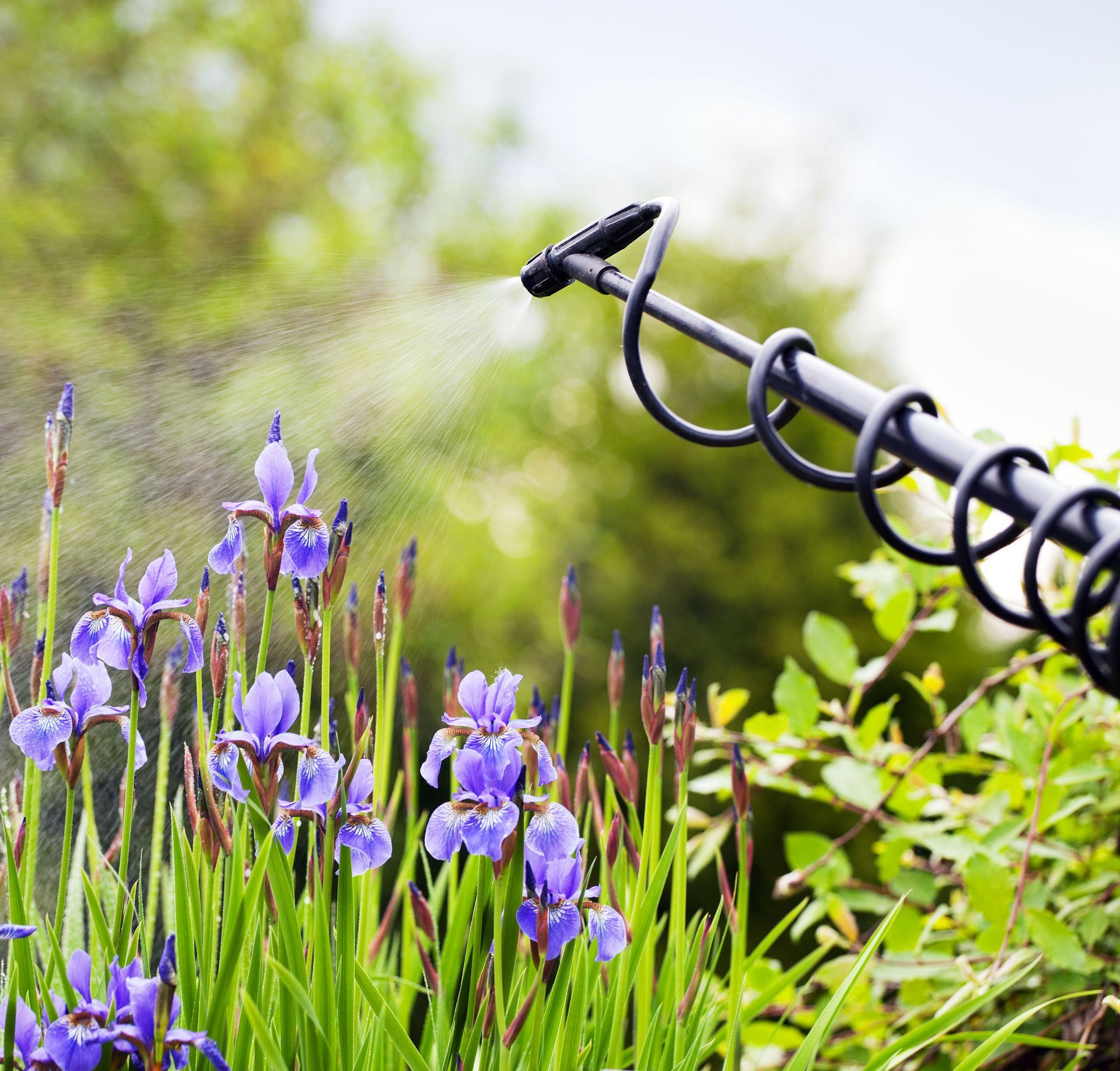 Reiff's Nursery & Greenhouses