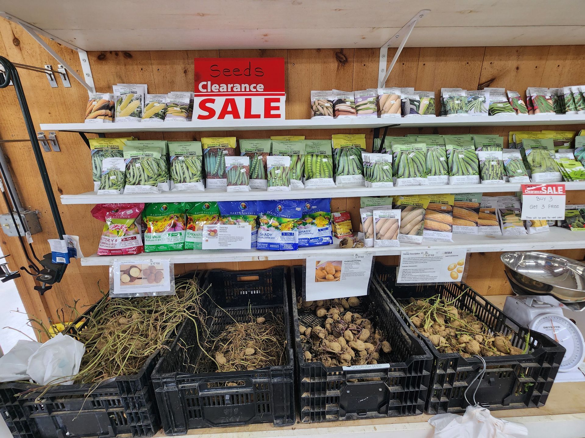 Store produce display with lettuce bags and a red clearance sale sign above crates of vegetables.