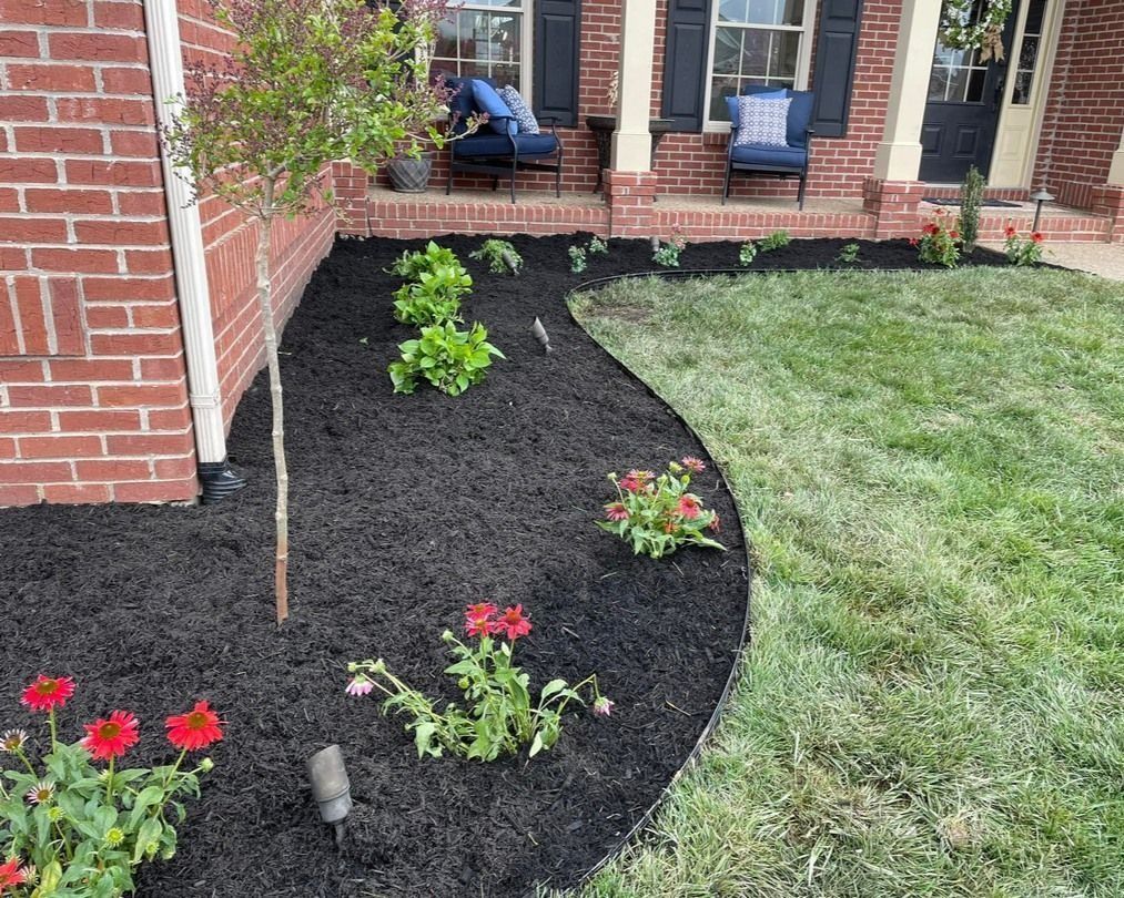 Flower bed with black mulch and red flowers next to green lawn and brick house.
