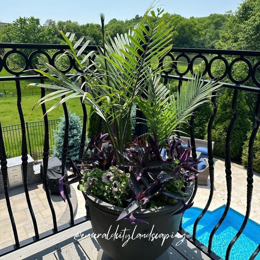 Planter box with purple and green plants on a balcony, overlooking a lawn and trees.