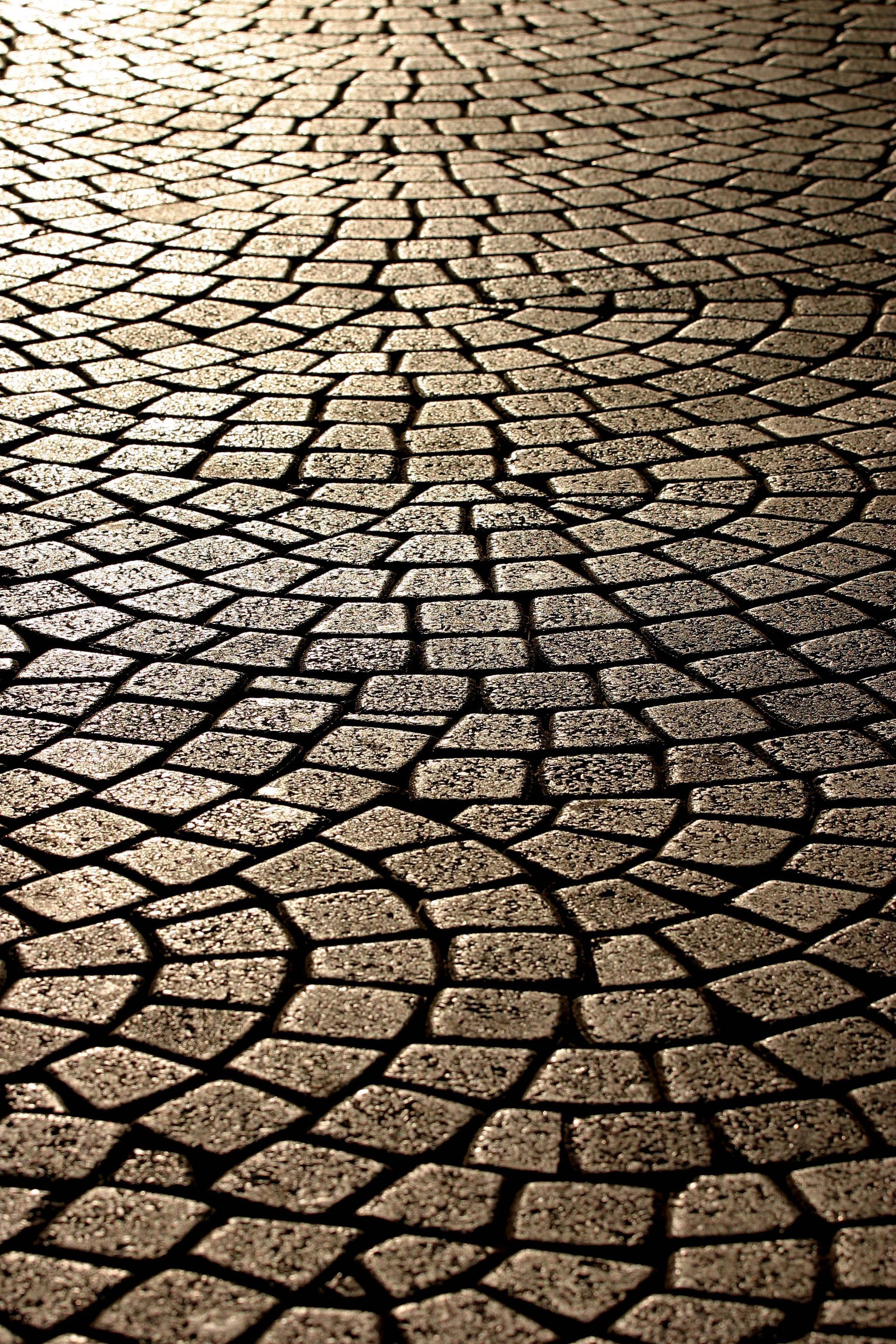Cobblestone path, wet and reflective, with light casting shadows.
