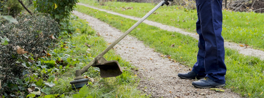 Weed Abatement Services | Weed Control | Sugarloaf, CA