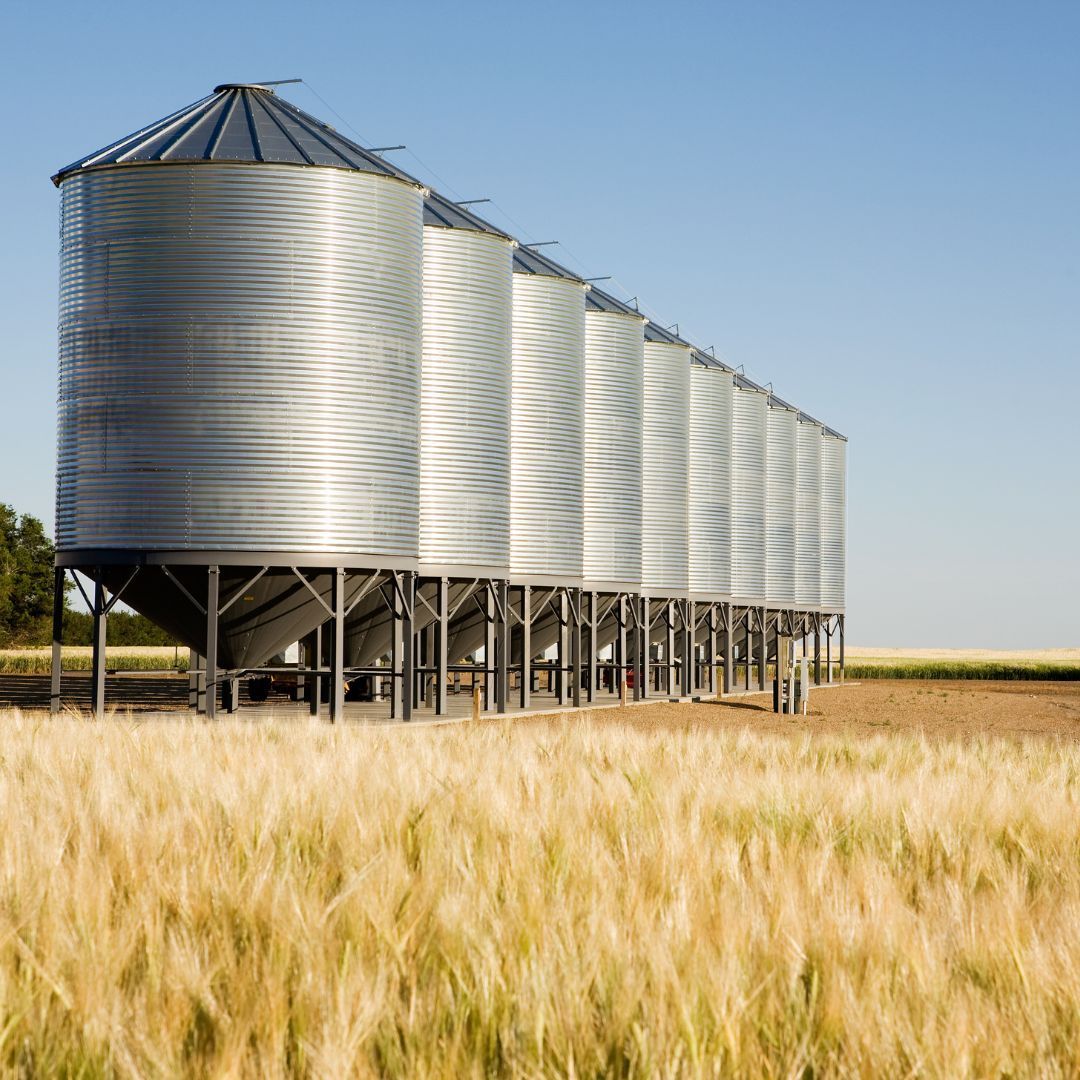 grain silos in a wheat field