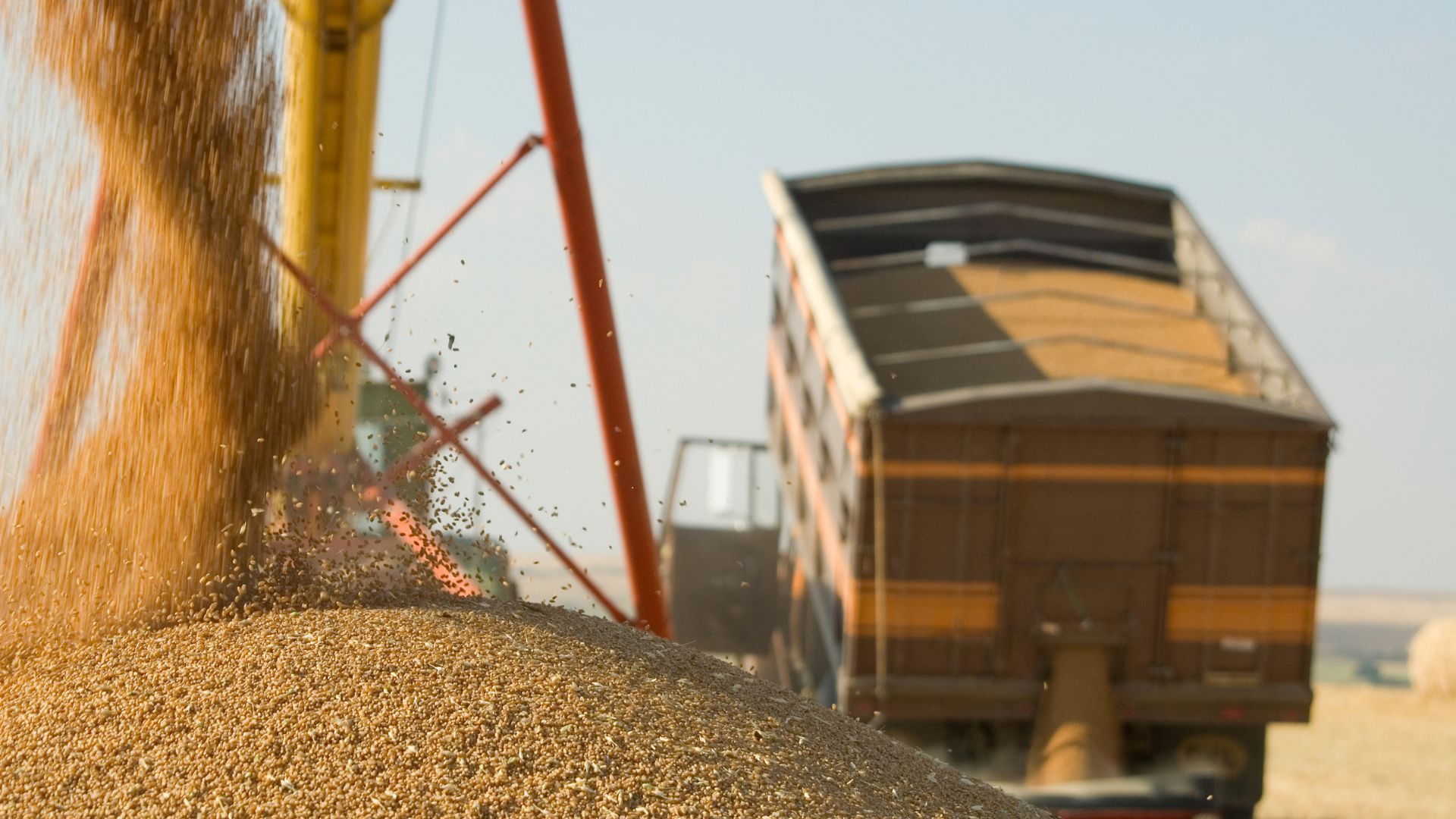 grain being unloaded from a truck