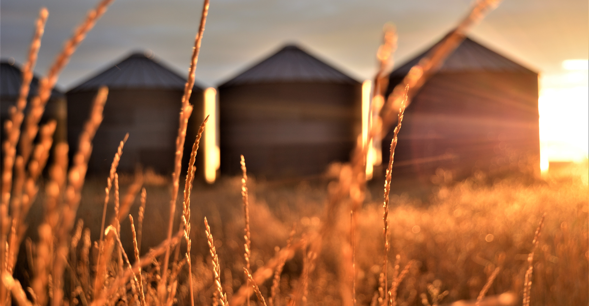 Grain Silos at Sunset