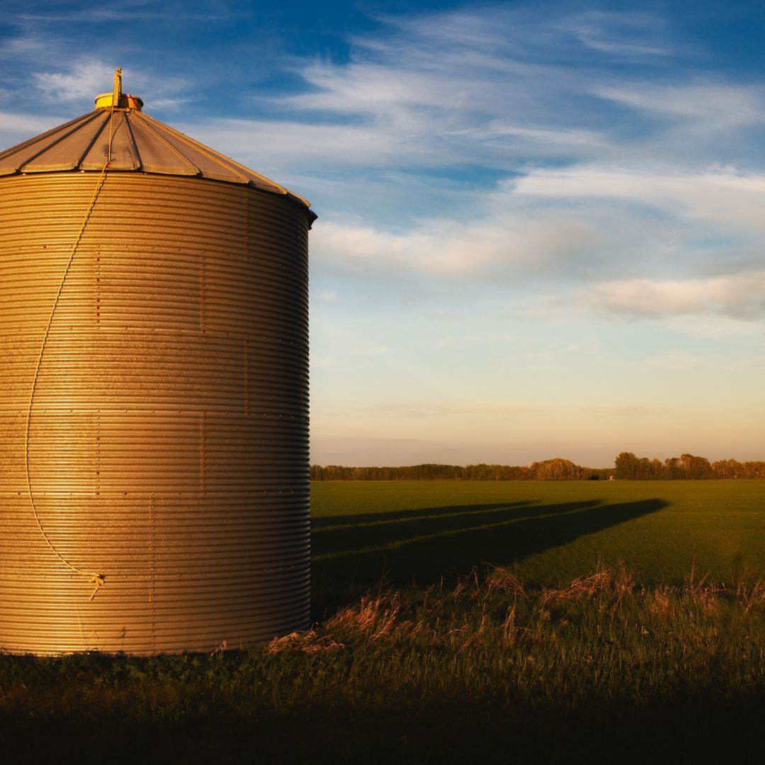 Quality Grain Silo in Field
