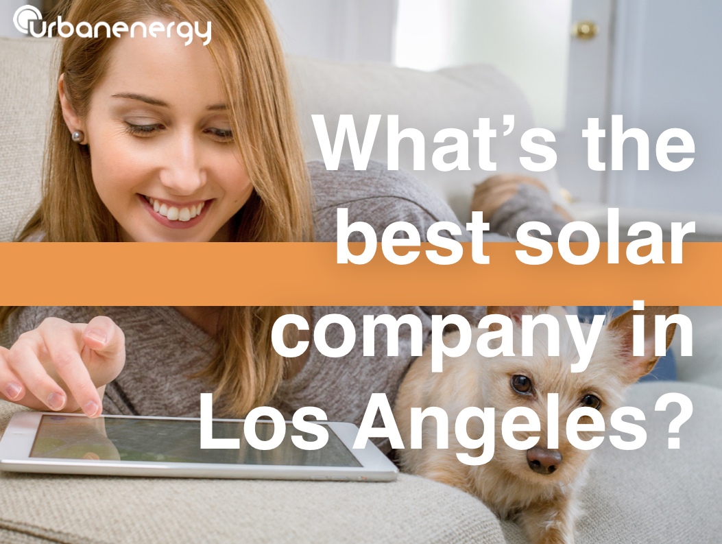 Woman smiling at a tablet with a small dog beside her, overlaid with “What’s the best solar company in Los Angeles?”