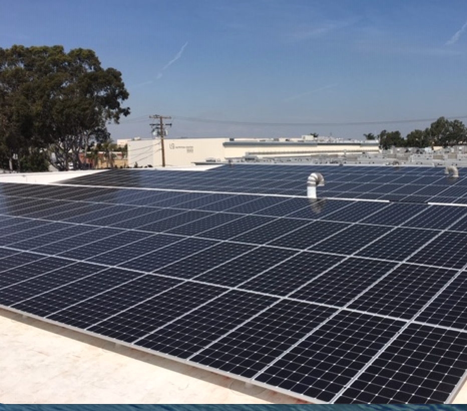 Rows of solar panels on a rooftop under a clear blue sky, with trees and buildings in the background