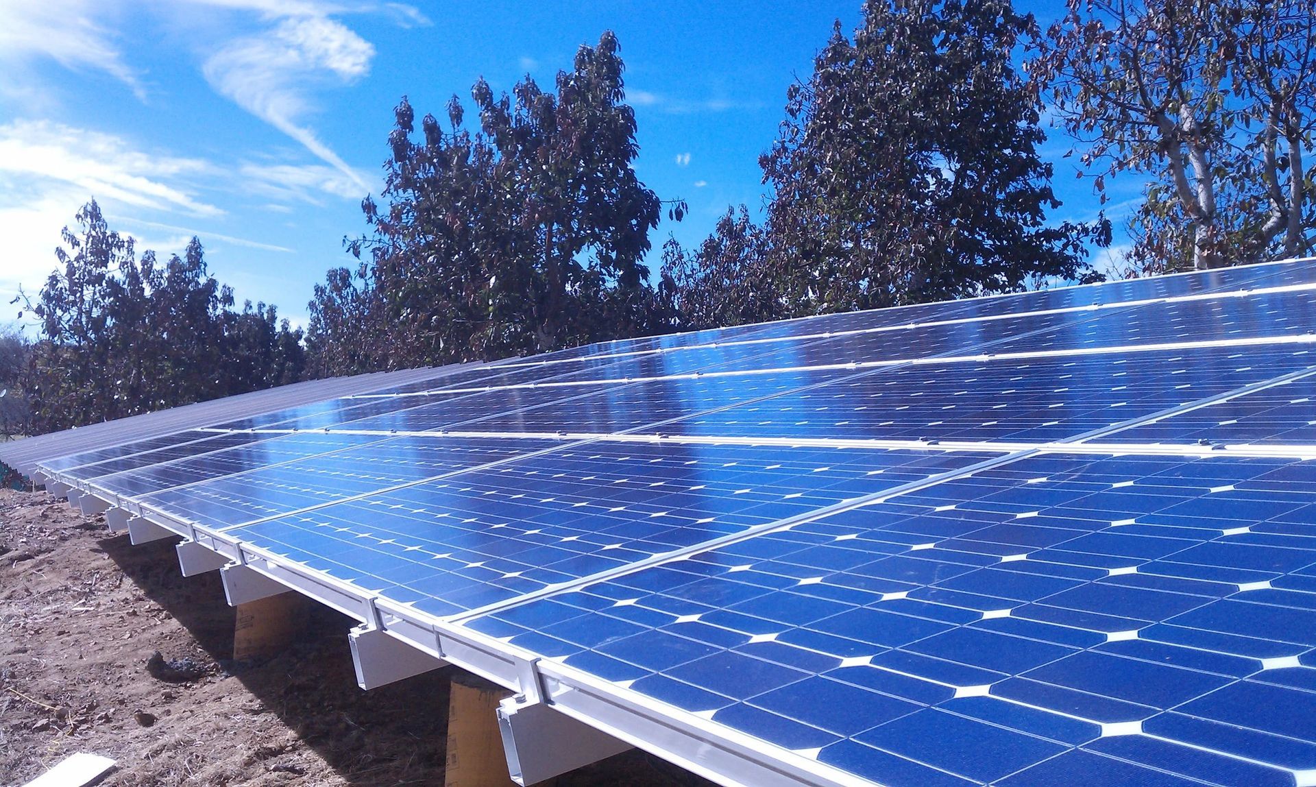 Solar panels installed outdoors under a blue sky with trees in the background