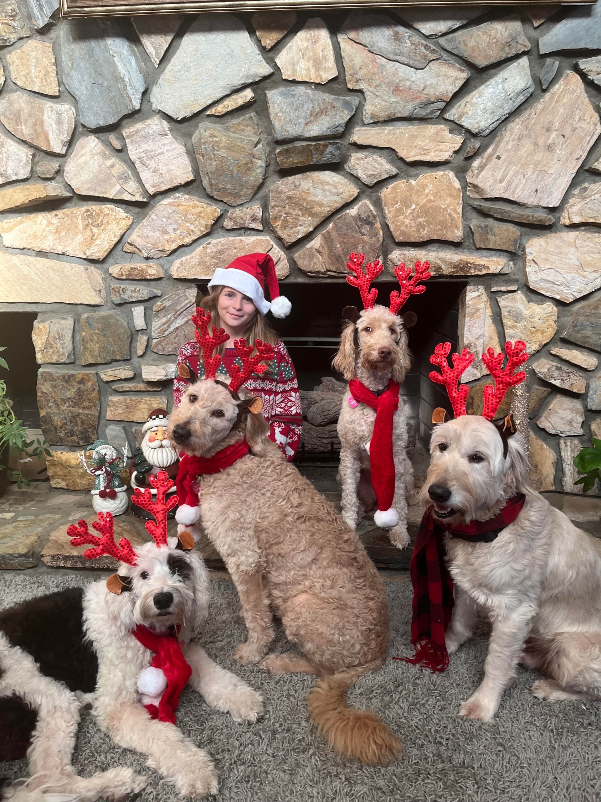 Girl with dogs on Christmas