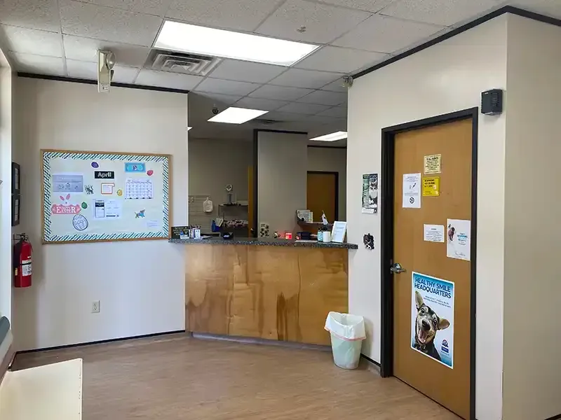 Benson Animal Hospital