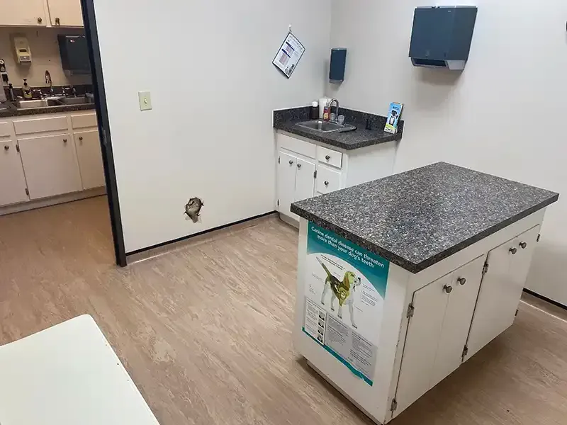 Benson Animal Hospital