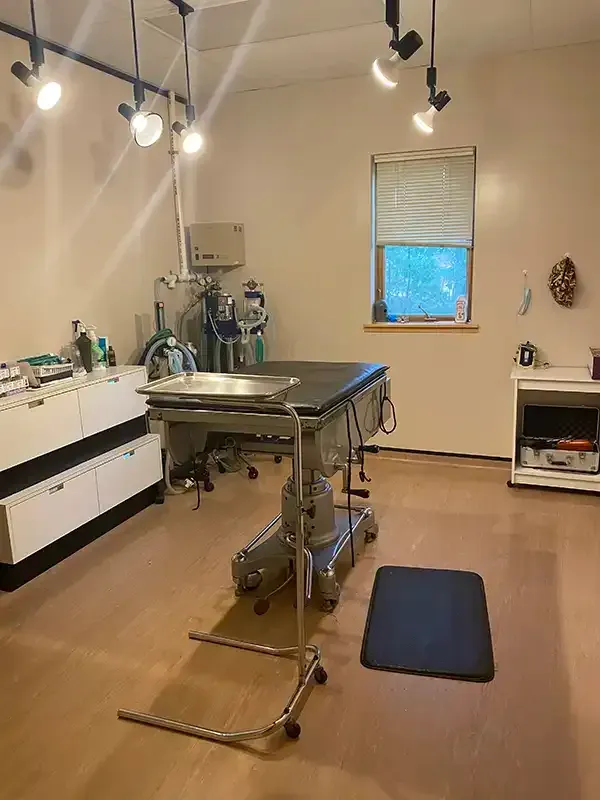 Benson Animal Hospital