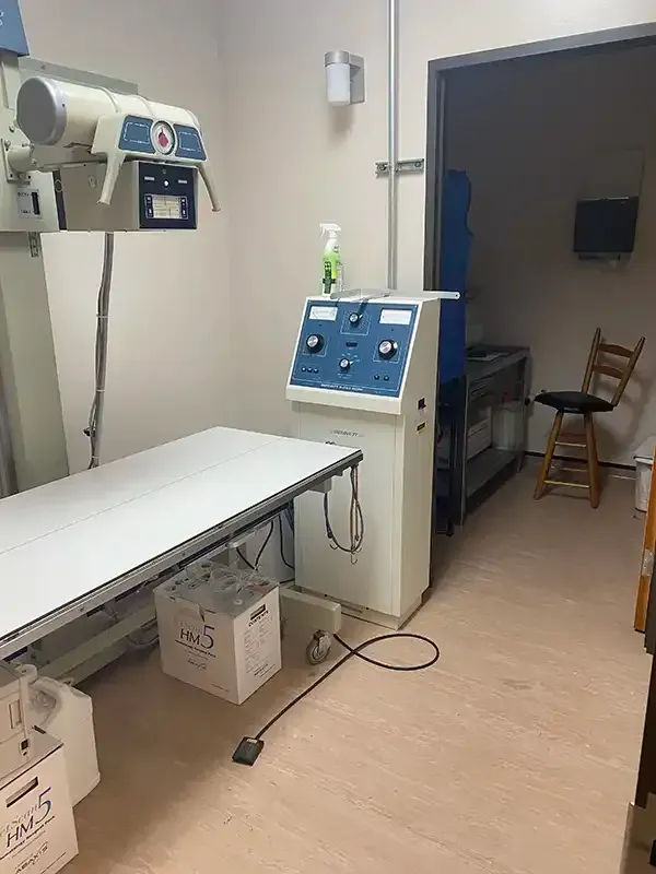 Benson Animal Hospital