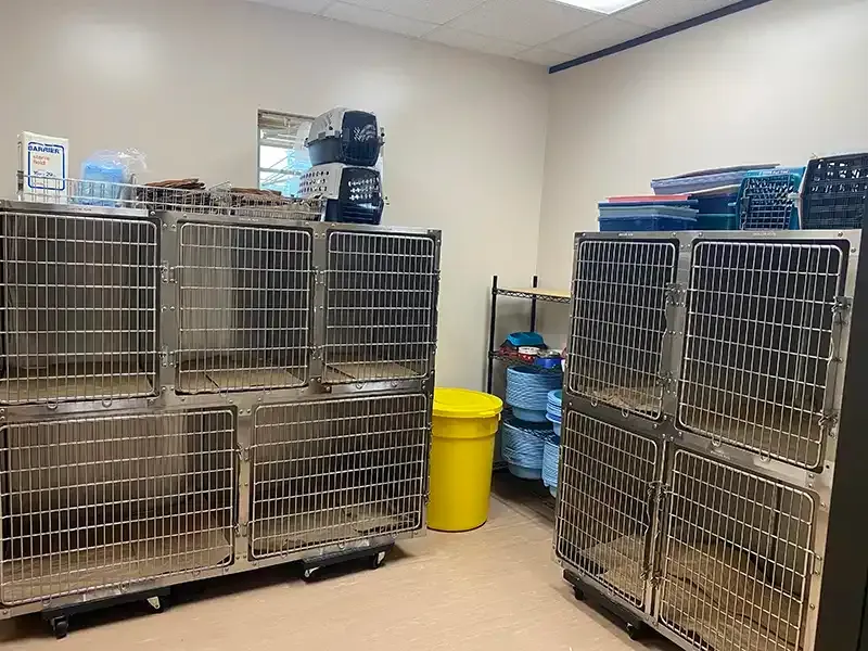 Benson Animal Hospital