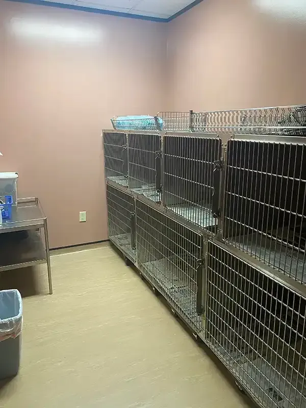 Benson Animal Hospital