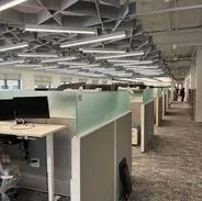 Office cubicles with frosted glass dividers, bright overhead lighting, and a patterned carpet.