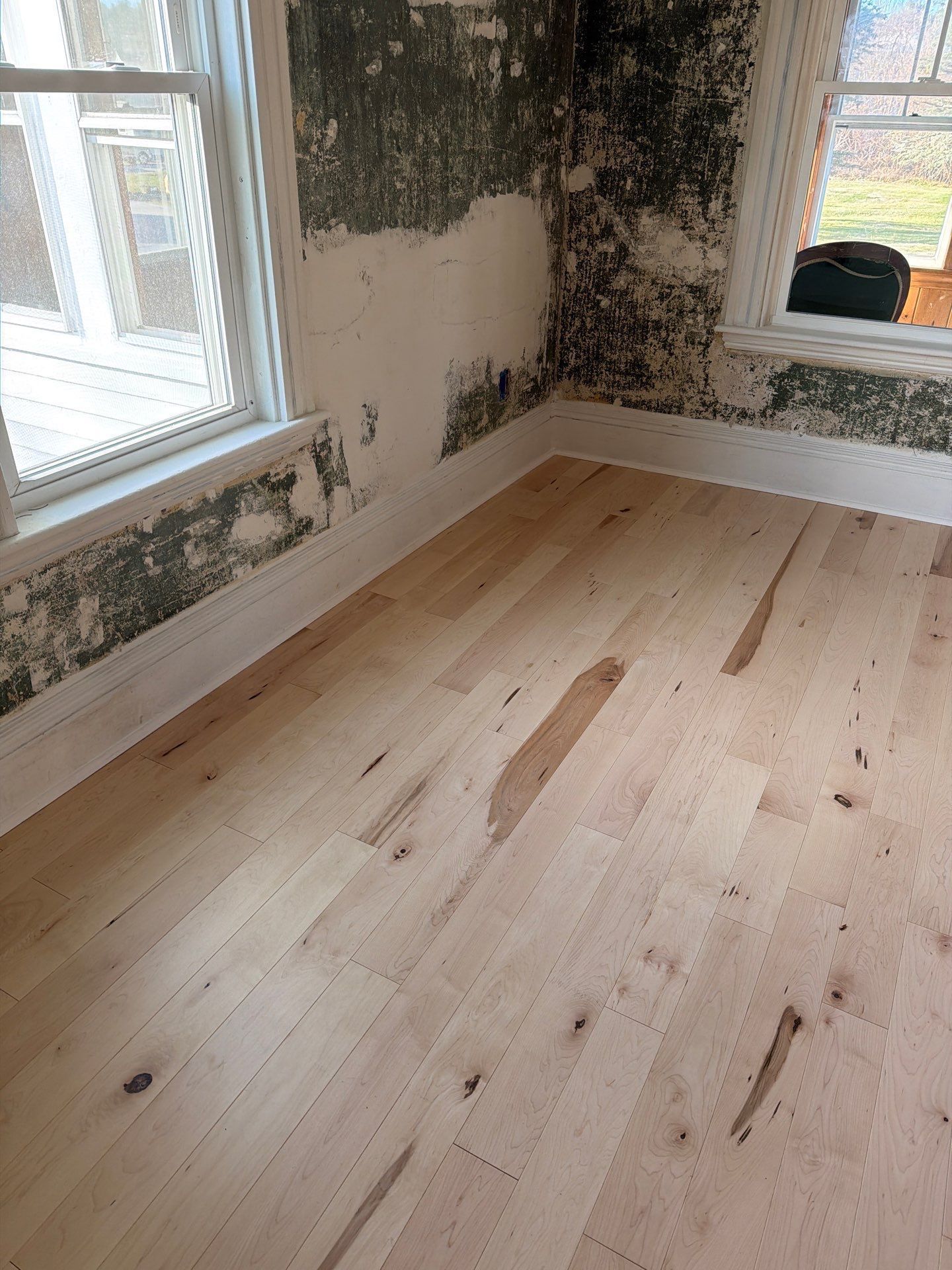 Room with wood floor, white trim and windows. Walls show significant water damage and mold.