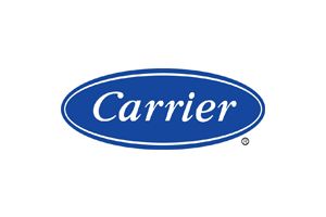 Carrier