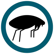 A black flea silhouette inside a teal circle.