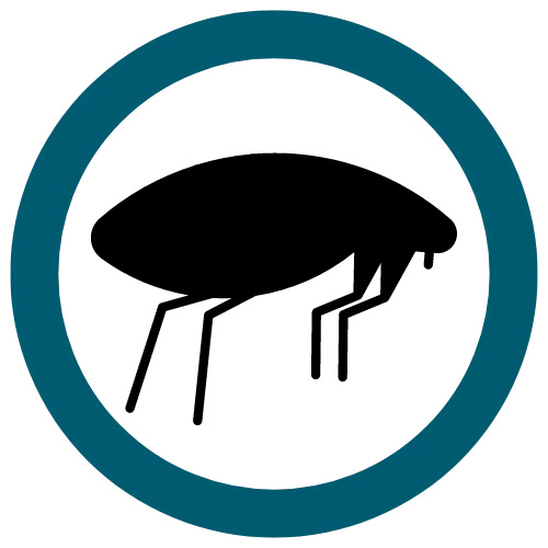 A black flea silhouette inside a teal circle.