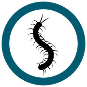 Black centipede icon inside a teal and white circle.