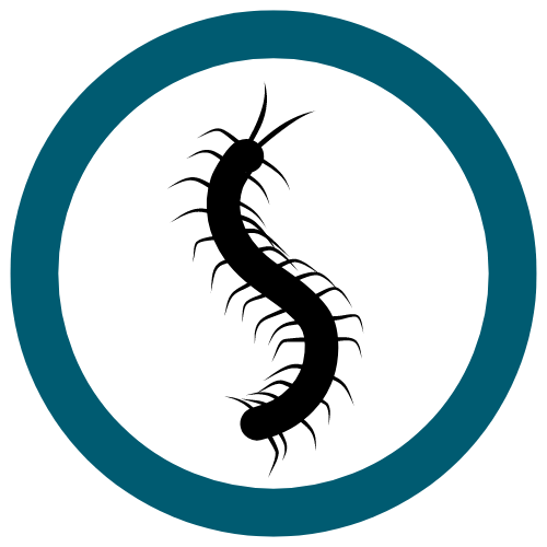 Black centipede icon inside a teal and white circle.