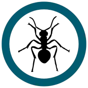 Black ant silhouette inside a white circle, framed by a teal ring.