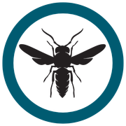 Black wasp silhouette inside teal circle.