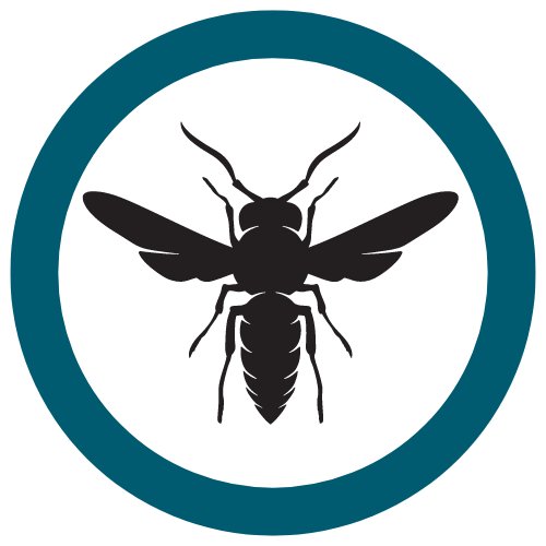 Black wasp silhouette inside teal circle.