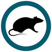 A black rat silhouette inside a teal circle.