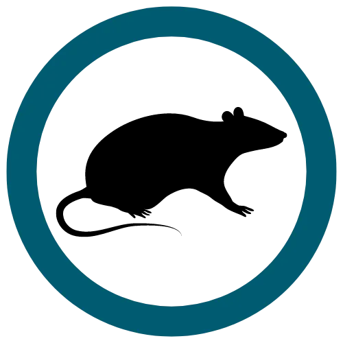 A black rat silhouette inside a teal circle.