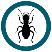 Black termite icon within a teal circle, representing pest control.