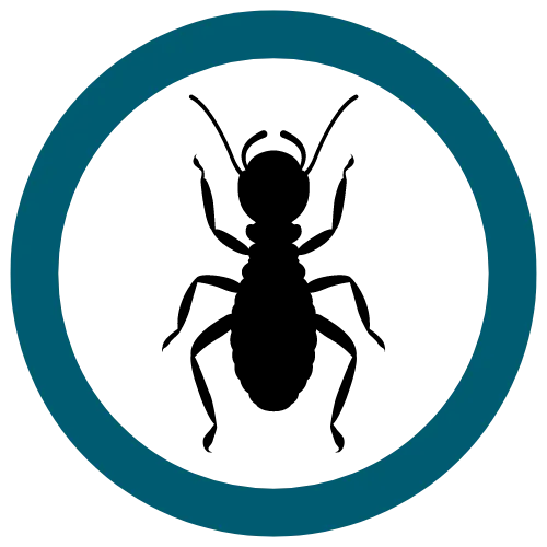 Black termite icon within a teal circle, representing pest control.