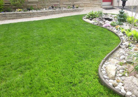 Lawn Fertilization Utah County