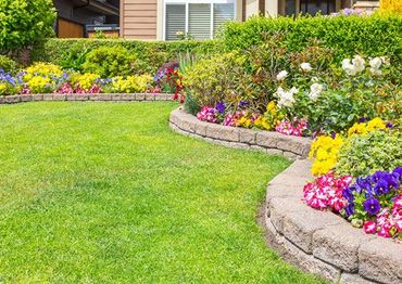 Residential and Commercial Lawn Care