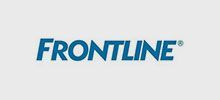 frontline