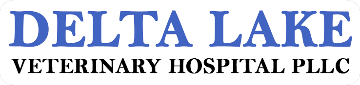 Delta Lake Veterinary Hospital PLLC-Logo