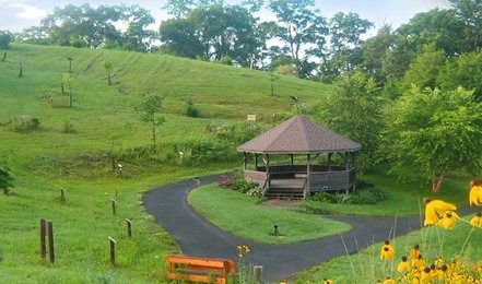 There is a gazebo in the middle of a grassy field.