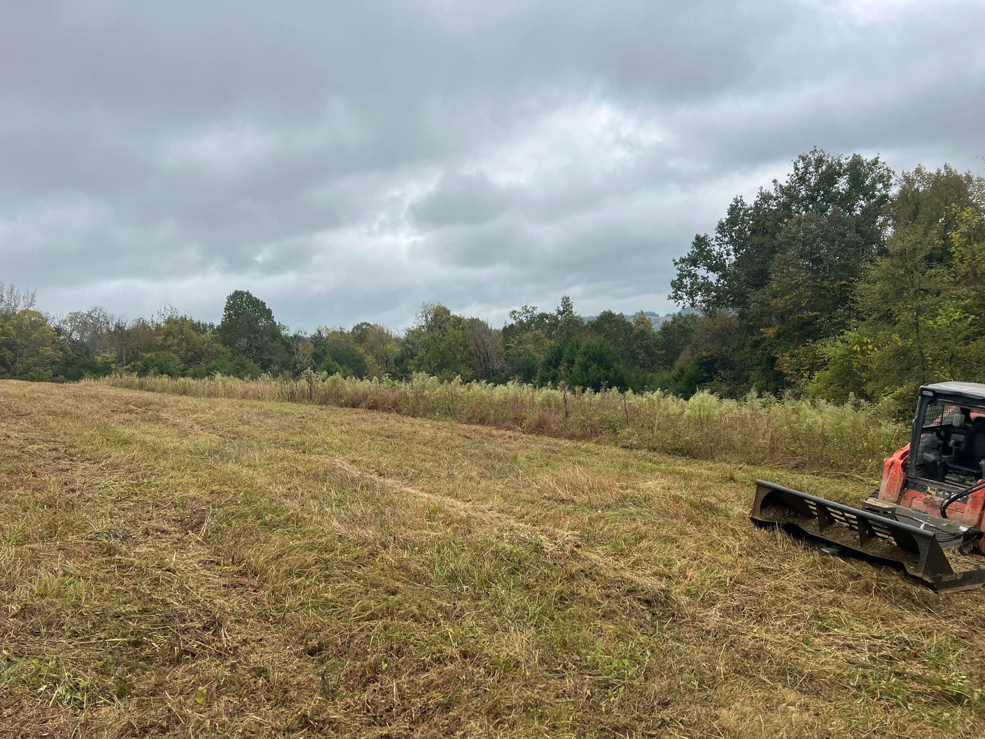 A skid steer mowing a field of dry grass under a cloudy sky. Trees line the far edge of the field.