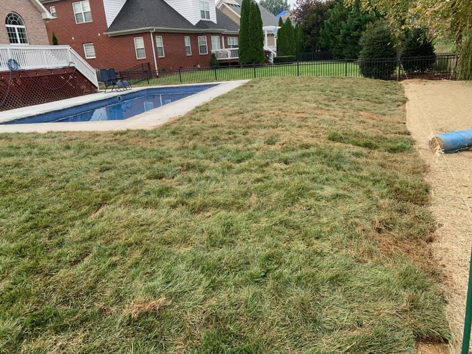 Laying sod in a backyard with a pool. Rolls of sod are partially installed, with the pool visible on the left.