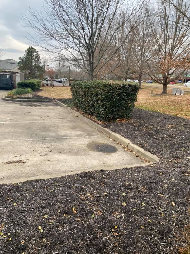 A parking lot with a curb bordering a bed of mulch. A trimmed bush and bare trees are in the background.